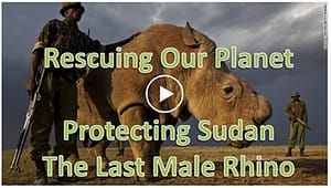 Sudan the last northern white rhino after 40 million years.