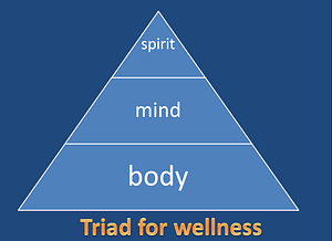 Dr. Vie's triad for health & wellness